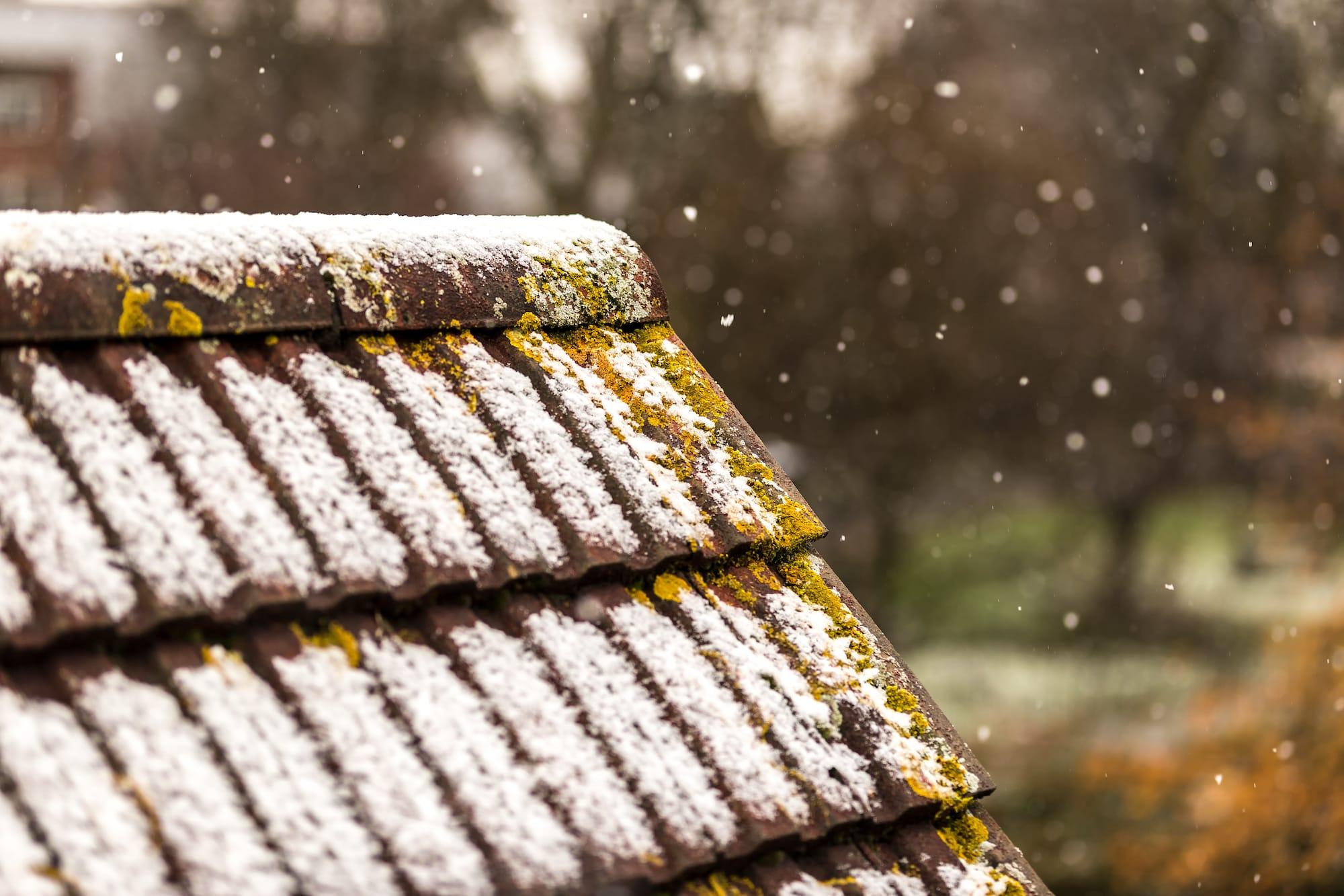 Winter Tips to Keep Your Home In Check