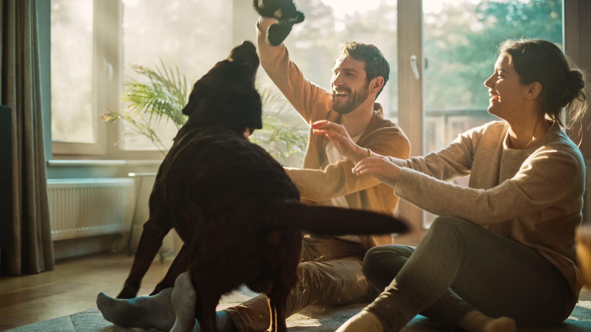 Don’t Let Your Property Fall into the Wrong Hands: Update Your Will After Buying a Home