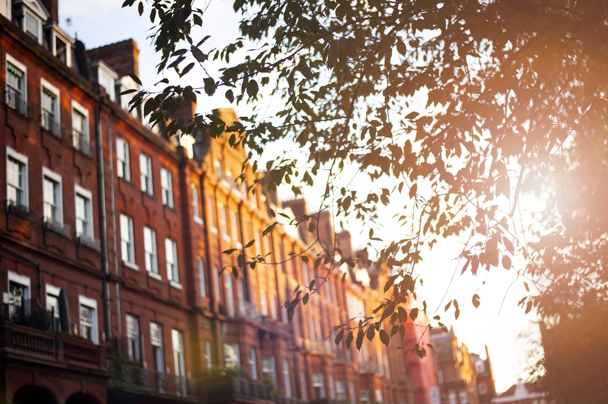 Autumn Property Market Off to a Flying Start