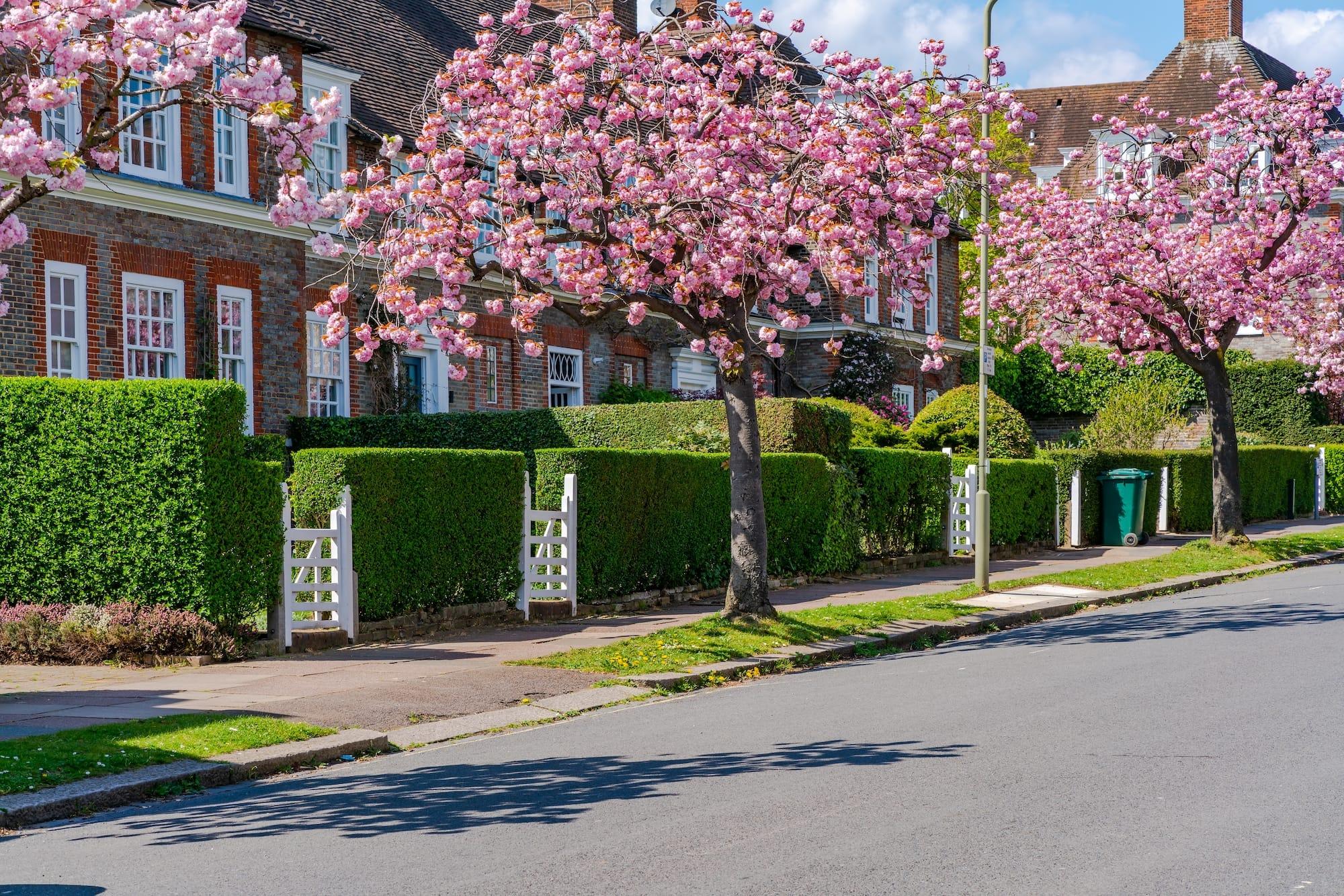 Selling in Spring 2026? A practical checklist to get your home and your move ready