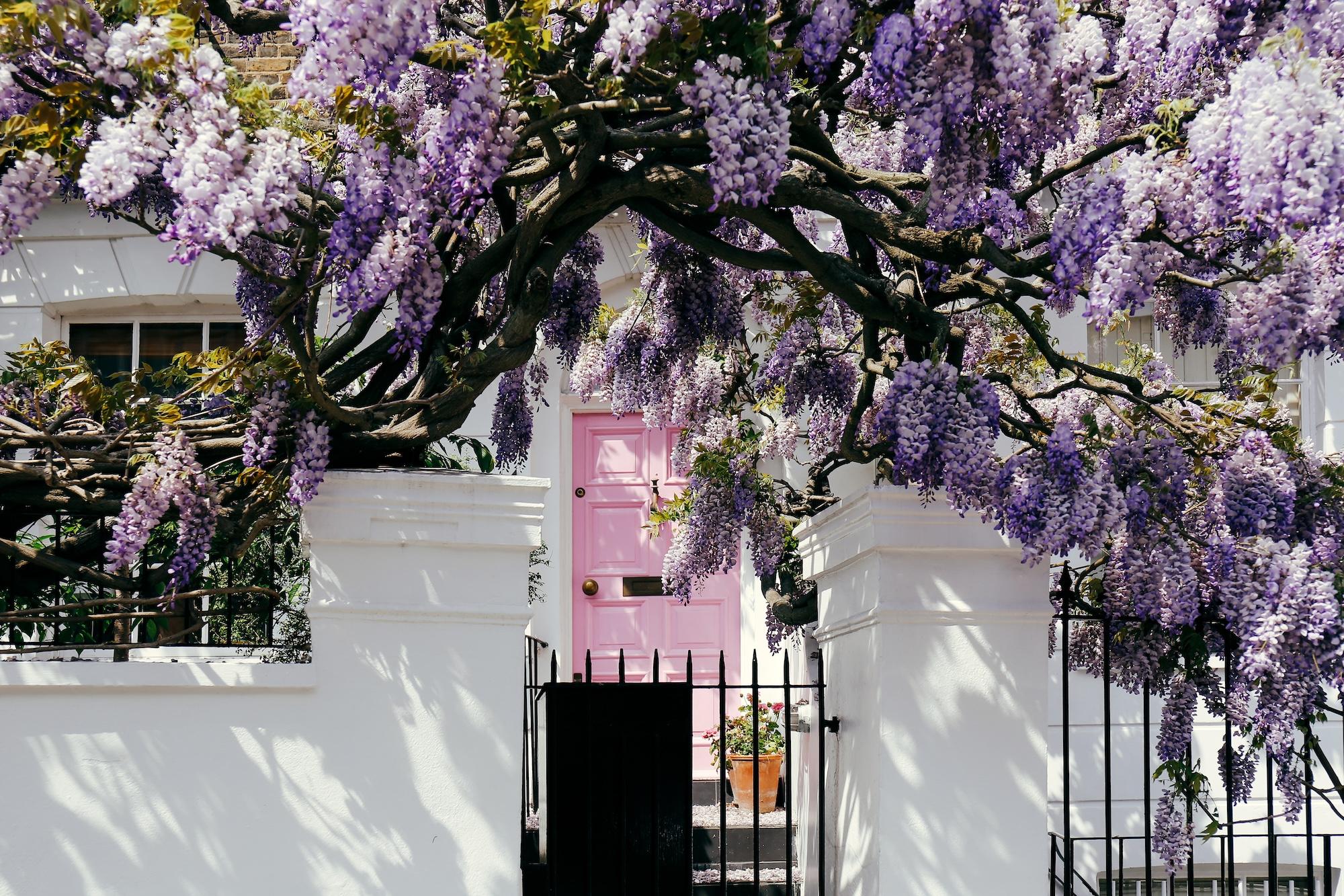 Selling your home this summer? Five things sellers need to know as buyers get more choice